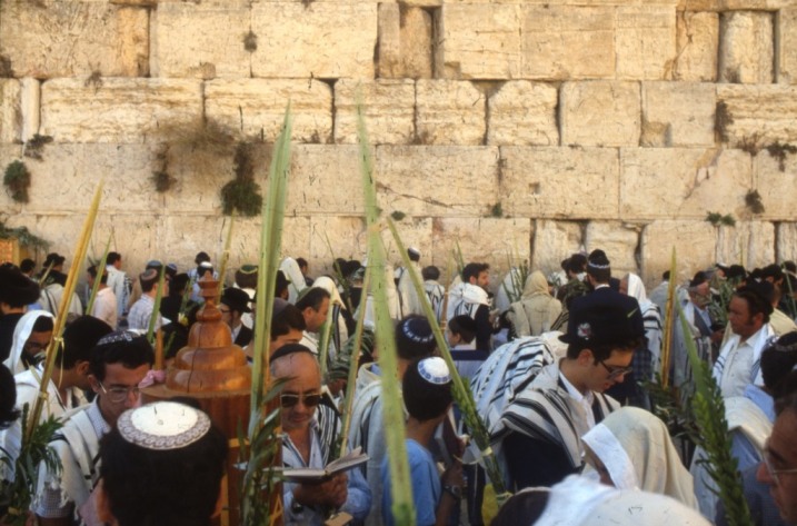 La Sukkà: servire Hashem con tutto il corpo