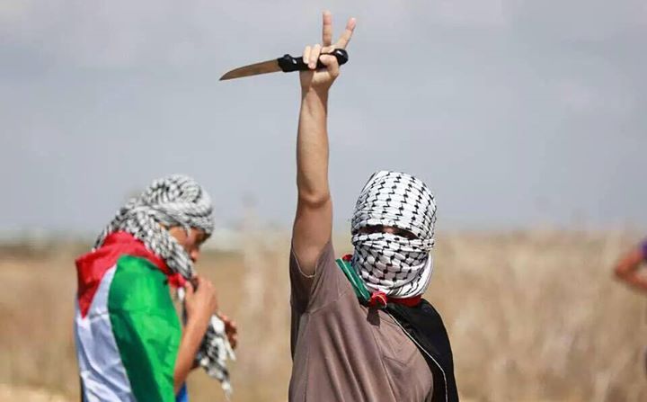 palestina coltelli
