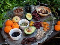 Tu Bishvat, le pietre di inciampo e il tikkun dell’uomo