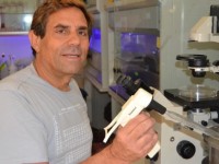 Diabete: dall’Università di Gerusalemme il pancreas artificiale