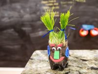 Tu bishvat: Capodanno degli alberi