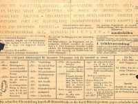 Alleanza tra nazismo e mondo arabo, ritrovato telegramma di Himmler al Gran Muftì