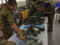 Sar-El, volontariato in Israele