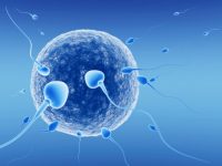 Ricercatori israeliani scoprono mutazione genetica che causa infertilità maschile