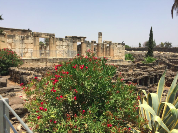 Viaggio in Israele: dal 13 al 20 Febbraio 2018 - Cafarnao città di Gesù
