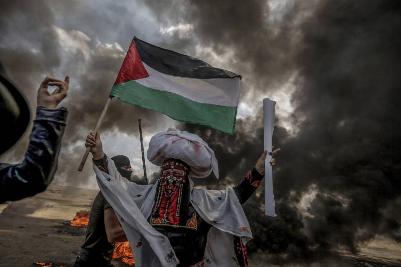 Perché nessuno si indigna per i disastri ecologici provocati da Hamas?