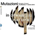 haifa-palestina-mostra-maroggia-progetto-dreyfus