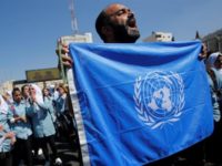 Le storie vergognose delle agenzie dell’Onu