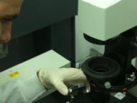 Impianto di tessuti: scienziati israeliani sviluppano nanotecnologia anti-rigetto