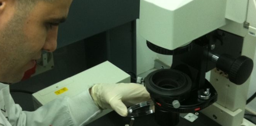 Impianto di tessuti: scienziati israeliani sviluppano nanotecnologia anti-rigetto