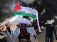 Che cosa succede davvero a Gaza: facciamo parlare i numeri