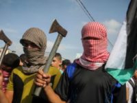 La malattia mentale del terrorismo che ottunde ogni umanità