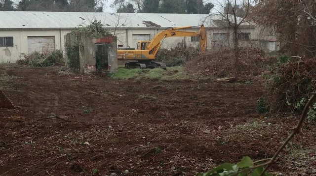 Cimitero ebraico di Mantova, scoppia la polemica