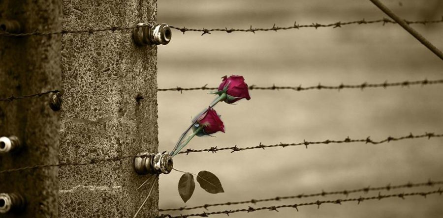 La Shoah e la Memoria: ricordare per capirne l’unicità