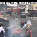 Servizio Le Iene "Il nostro racconto della guerra tra Israele e Palestina"