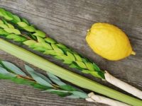 Sukkà e Lulav: due aspetti fondamentali dell’esistenza ebraica